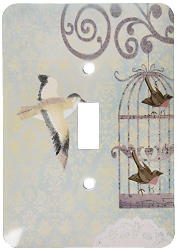 3dRose lsp_151173_1 Vintage Birdies and Bird Cage Single Toggle Switch