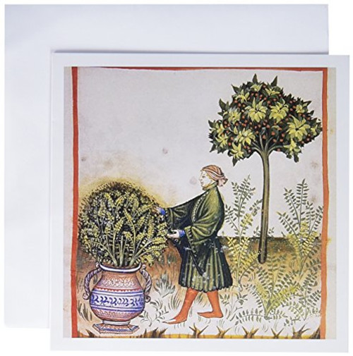 Tacuinum Sanitatis Medieval Health Illustration - Prisma - Greeting Cards, 6 x 6 inches, set of 6 (gc_83097_1) Tacuinum Sanitatis Medieval Health Illustration - Prisma - Greeting Cards, 6 x 6 inches, set of 6 (gc_83097_1)