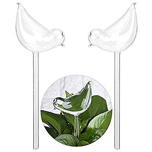 Cratone 2 pcs Plant Water Dispenser Bird Shaped Self-Watering Balls Glass Transparent Plant Watering Plants Bird Shape Hand Blown Clear Glass Self Watering Mini Transparent Watering-Siyaglass Cratone 2 pcs Plant Water Dispenser Bird Shaped Self-Watering Balls Glass Transparent Plant Watering Plants Bird Shape Hand Blown Clear Glass Self Watering Mini Transparent Watering-Siyaglass
