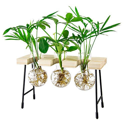 YIYUN Air Plant Terrarium,Propagation Stations for Desk Glass Terrarium Bulb Glass Vase with Wooden Stand Propagation Station for Hydroponics Plants Home Office Garden Decor