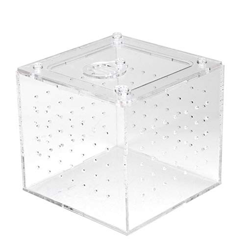Reptile Breeding Box-Reptile Glass Feeder Snake Spider Lizard Breeding Acrylic Box Case Insect House Reptile Breeding Box-Reptile Glass Feeder Snake Spider Lizard Breeding Acrylic Box Case Insect House