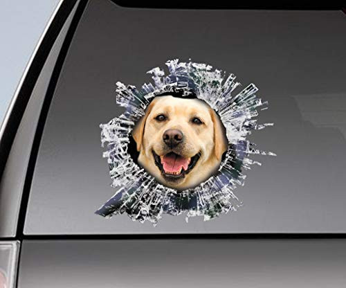 EricauBird Decal-Yellow Lab Window Sticker, car Sticker, Yellow Lab car Decal Removable Vinyl Sticker, 12inch