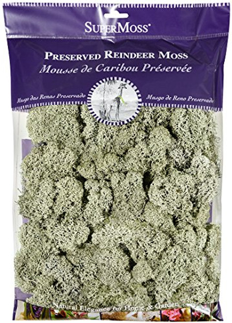 SuperMoss 25140 Reindeer Moss Preserved, Moss Green, 8oz 200 cubic inch