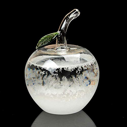 Kexle Storm Glass Weather Forecaster, Stylish Creative Glass Barometer, Transparent Stylish Creative Desktop Weather Station Liquid Barometer Weather Predictor Bottle for Home Office Decoration D
