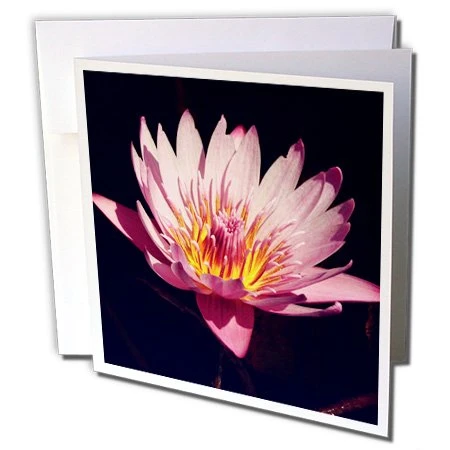 3dRose Greeting Cards, 6 x 6 Inches, Pack of 6, Lotus Flower (gc_183773_1)
