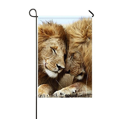 DongGan Garden Flag Lion Cat Couple Mane Rest 12x18 InchesWithout Flagpole