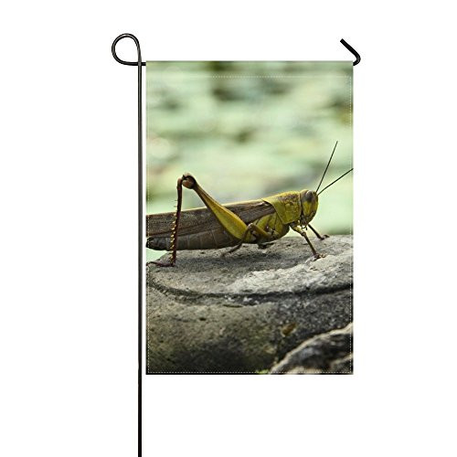 DongGan Garden Flag Grasshopper Stone Sit Water 12x18 InchesWithout Flagpole