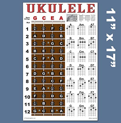 Ukulele Fretboard  and  Chord Chart Instructional Poster Uke Soprano Concert Tenor