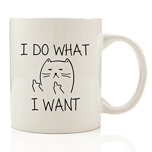I Do What I Want Funny Coffee Mug Cat Middle Finger 11 oz - Birthday Gift For Men & Women, Him or Her - Best Office Cup & Christmas Present Idea For Mom, Dad, Boyfriend, Girlfriend or Coworkers