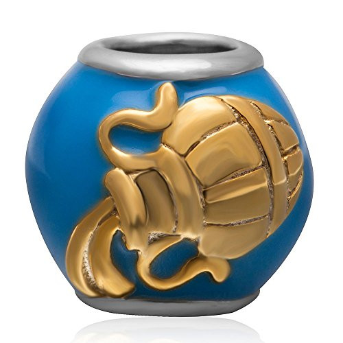 Zodiac Sign Enamel Beads Authentic 925 Sterling Silver Charms for Charms Bracelet Aquarius Zodiac Sign Enamel Beads Authentic 925 Sterling Silver Charms for Charms Bracelet Aquarius