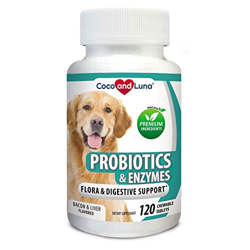 Probiotics for Dogs  Digestive Enzymes, Diarrhea Treatment for Dogs, Promotes Healthy Stomach and Digestion  Relieves Constipation and Gas - 120 Chew-able Tablets