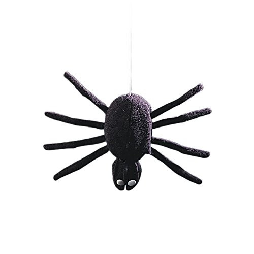 Dropping Dan Spider (Standard) by Sunstar Industries
