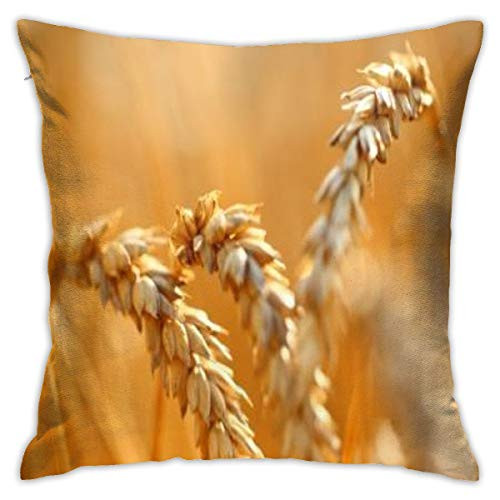 BJfuda Throw Pillow Covers 18x18 Inches,Sofa Square Decorative Throw Pillow Case Wheat Ears in Wheat Field