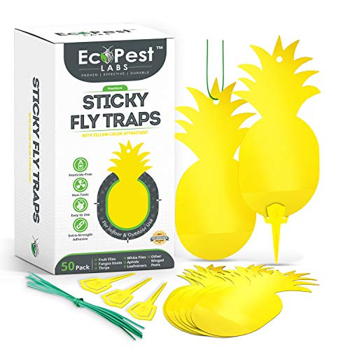 Sticky Fruit Fly and Gnat Traps 50 Pack Yellow Fly Paper Trap for House Plants and Gnat Sticky Traps for Fruit Flies, Fungus Gnats, and Other Flying Insects Indoor and Outdoor Fly Tape Sticky Fruit Fly and Gnat Traps 50 Pack Yellow Fly Paper Trap for House Plants and Gnat Sticky Traps for Fruit Flies, Fungus Gnats, and Other Flying Insects Indoor and Outdoor Fly Tape
