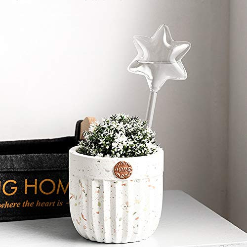 Nuxn 3pcs Small Plant Waterer Self Watering Bulbs Automatic Hand Blown Clear Glass Self Watering Stakes Plant Water Drippers Irrigation Devices for Indoor and Outdoor Plants Nuxn 3pcs Small Plant Waterer Self Watering Bulbs Automatic Hand Blown Clear Glass Self Watering Stakes Plant Water Drippers Irrigation Devices for Indoor and Outdoor Plants