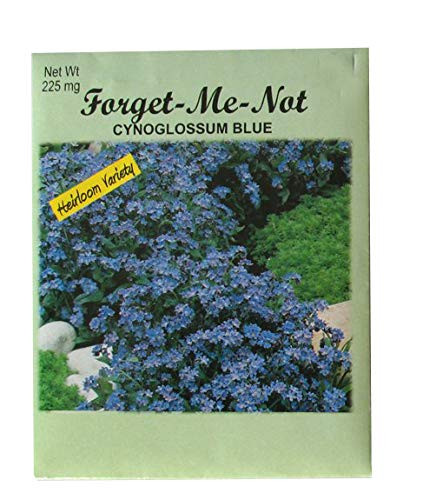 Set of 50 Forget Me Not Valley Green Flower Seed Packets Flower Seeds in Bulk - Forget Me Nots