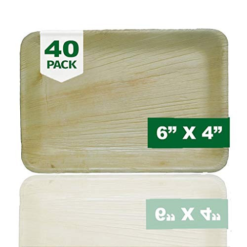 Palm Naki Square Palm Leaf Plates 40 Count - Disposable Dinnerware, Compostable and Biodegradable Plates 6inch  x 4inch  Rectangle Plates