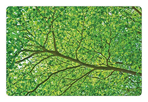 Lunarable Forest Pet Mat for Food and Water, Life Symbolized in Part of a Tree Branch High Birch Spring Leaves Design Artwork Print, Rectangle Non-Slip Rubber Mat for Dogs and Cats, Green