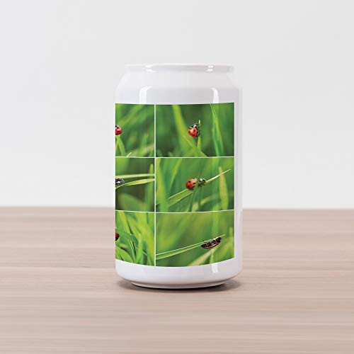 Ambesonne Ladybug Cola Can Shape Piggy Bank, Ladybug Over Fresh Grass Divided Collage Vibrant Life Lawn Foliage Theme Vegetaiton, Ceramic Cola Shaped Coin Box Money Bank for Cash Saving, Green Red Ambesonne Ladybug Cola Can Shape Piggy Bank, Ladybug Over Fresh Grass Divided Collage Vibrant Life Lawn Foliage Theme Vegetaiton, Ceramic Cola Shaped Coin Box Money Bank for Cash Saving, Green Red