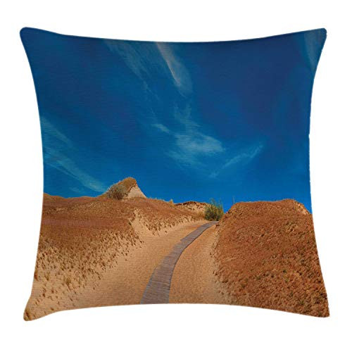 Ambesonne Beach Pathway Throw Pillow Cushion Cover, Wooden Road in The Sand Dunes Wilderness Idyllic Landscape, Decorative Square Accent Pillow Case, 16inch  X 16inch , Blue Pale Brown