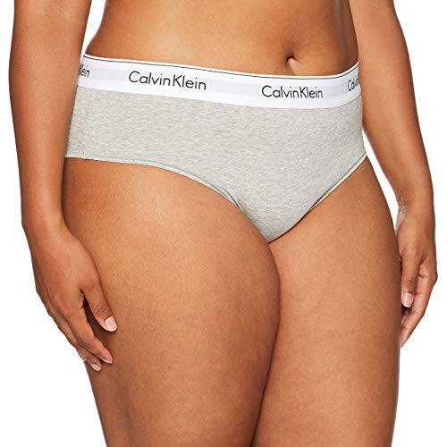 Calvin Klein Women's XS-XL Modern Cotton Bikini Panty, Grey Heather, Large