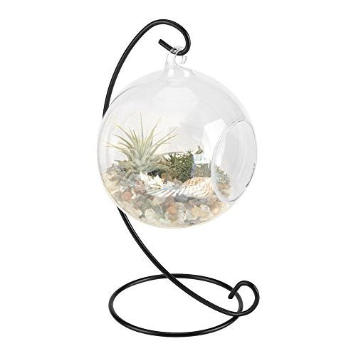 Succulent Pots Hanging, Hanging Glass Vase Large Terrarium with Frame for Air Plants Succulent Planters Micro Landscape