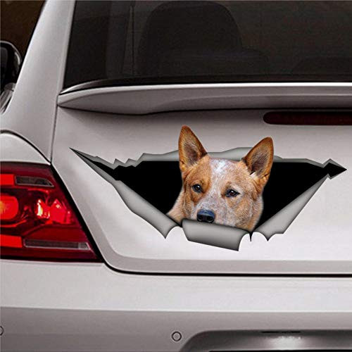 Red Heeler Car Decal Car Decoration Red Heeler Sticker Stickers 3D Funny Car Decal Window Decal Vinyl Bumper Decal Die Cut Decals Laptop Stickers Gift