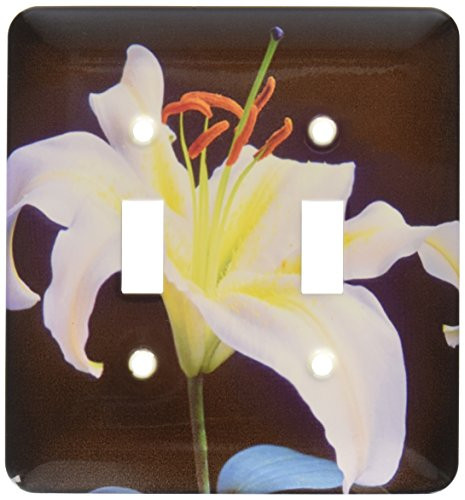 3dRose lsp_61870_2 White Oriental Lilly On Black Double Toggle Switch