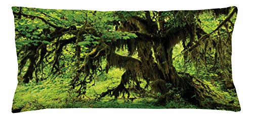 Ambesonne Rainforest Throw Pillow Cushion Cover, Tree with Moss in The Jungle Natural Life Feng Shui Silent Plants Pattern, Decorative Rectangle Accent Pillow Case, 36inch  X 16inch , Green Brown