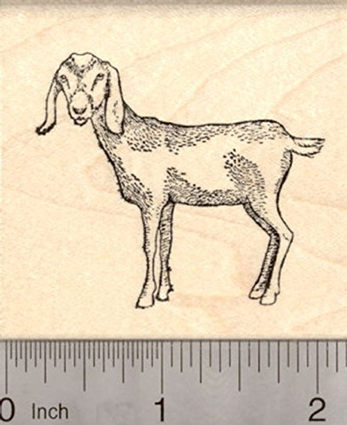 Nubian Goat Rubber Stamp