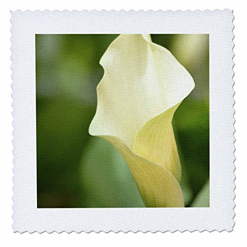 3dRose qs_47799_1 Spring Calla Lily White Flowers Floral Photography Quilt Square, 10 by 10-Inch