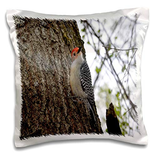 3dRose Dreamscapes by Leslie - Birds - Red-bellied woodpecker on a tree - Pillow Cases pc_314288_1