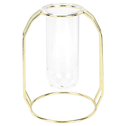 Hydroponic Plant Vases, Desktop Glass Planter Bulb Vase with Metal Holder, Desktop Plant Terrarium for Hydroponics Plants, Home Garden Office Wedding Decor1