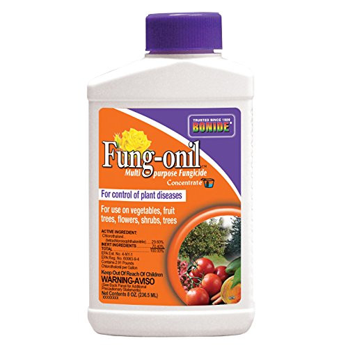 Bonide 879 8-Ounce Fungonil Fungicide Concentrate
