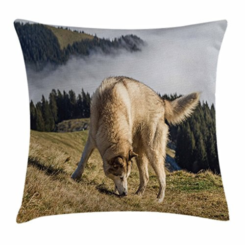Ambesonne Alaskan Malamute Throw Pillow Cushion Cover, Purebred Dog Foggy Mountains Trees Faithful Companion, Decorative Square Accent Pillow Case, 20inch  X 20inch , Pale Brown Dark Green Beige