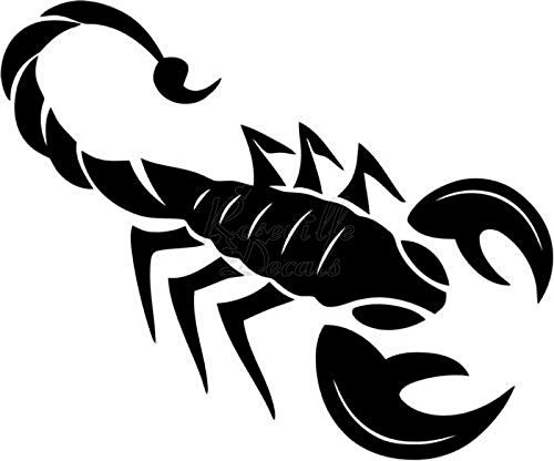 Scorpion Arachnid Vinyl Decal Sticker for Home Office Decor Vehicle Window Sign Size- 20 inch / 50 cm Wide Color- Gloss Black