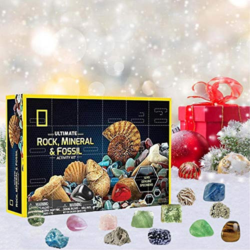 HedgX Rocks Storage Gift Box, Provides Kids Educational Toys - Rocks  and  Fossils Kit Detailed Learning Guide Display Stands Great Science Gift for Mineralogy  and  Geology Enthusiasts