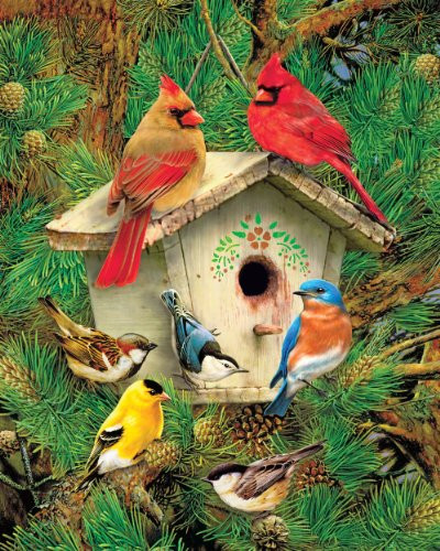 Springbok Puzzles - Feathered Retreat - 1000 Piece Jigsaw Puzzle - Large 24 Inches by 30 Inches Puzzle - Made in USA - Unique Cut Interlocking Pieces