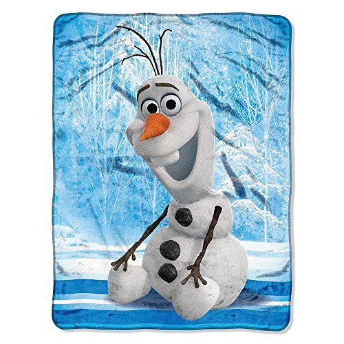 Disney's Frozen, "Chills and Thrills" Micro Raschel Throw Blanket, 46" x 60"