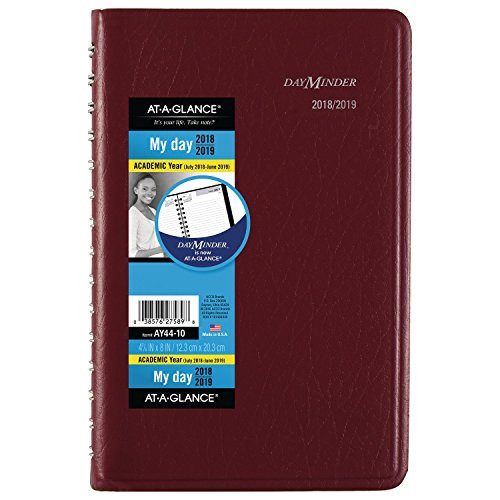 at-A-Glance 2018-2019 Academic Year Daily Planner/Appointment Book, Small, 4-7/8 x 8, DayMinder, Plum (AY4414)