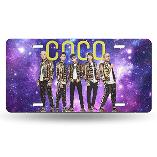 ZeldaRRay Cnco License Plate Decorative Car Front License Plate,Vanity Tag,Metal Car Plate,Aluminum Novelty License Plate,6x12 Inch