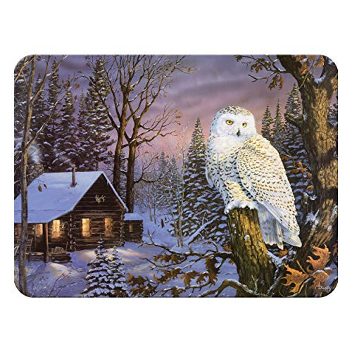 River's Edge Products Tempered Glass Cutting Board, 12 by 16 Inches, White Owl