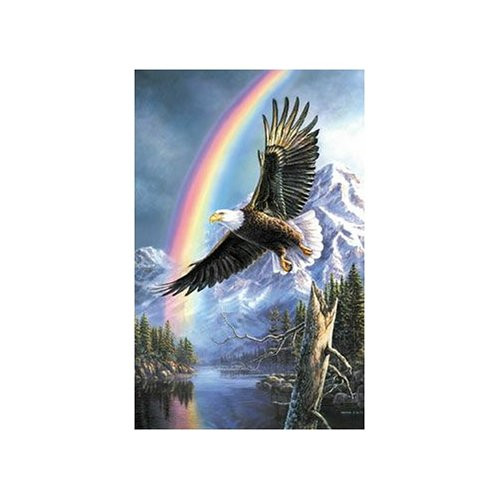 SunsOut Eagle Of Promise 1000 Piece Jigsaw Puzzle