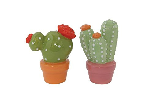 Creative Co-Op Ceramic Cactus Salt and Pepper Shakers (Set of 2 Pieces)