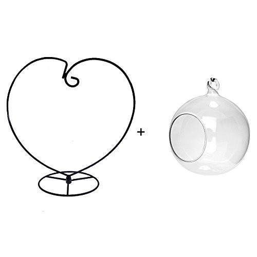Awesomes Air Plant Stand/Flower Pot Stand Holder Iron Pothook Stand for Hanging Glass Terrarium Heartplus Glass Terrarium Without Holes