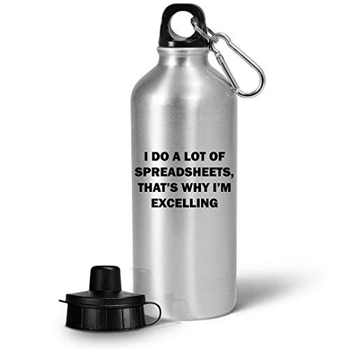 Funny Gag Gifts for Accountant Water Bottle Tumbler Reusable Portable Drinkware - Accountancy Grad Student Tax Season Office Accounting Day Cute Appreciation Idea - Do Spreadsheets Im Excelling