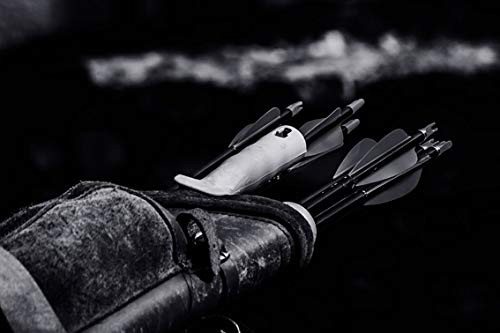 ING Wall Art Print on Canvas32x21 inches- Archery Arrows Close-Up Hd Wallpaper Quiver Weapon