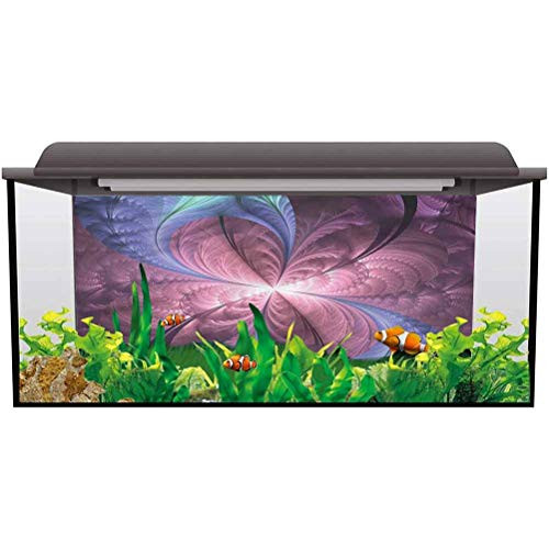 ScottDecor Seabed World Backdrop Trippy,Floral Vortex Design Ocean Background Photo L24 X H12 Inch