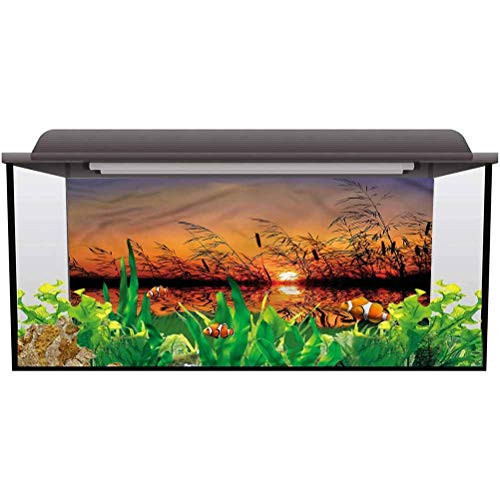 ScottDecor Underwater World Backdrop Nature,Lake Sunset Photo Scene 3D Underwater World Backdrop Aquarium L24 X H12 Inch ScottDecor Underwater World Backdrop Nature,Lake Sunset Photo Scene 3D Underwater World Backdrop Aquarium L24 X H12 Inch