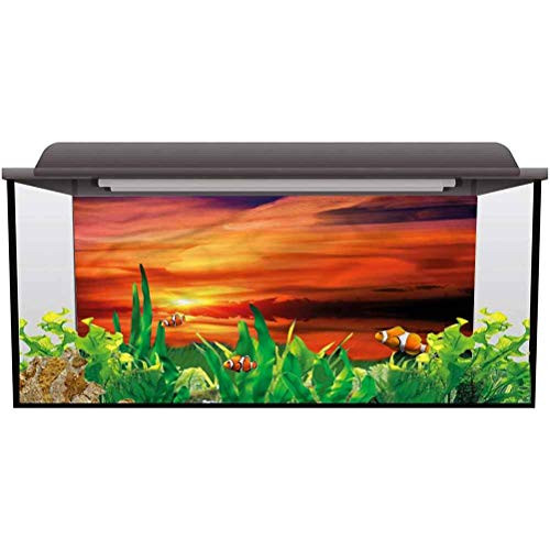 ScottDecor Seabed World Backdrop Nature,Dramatic Sunset Lake Decals Sticker L24 X H12 Inch ScottDecor Seabed World Backdrop Nature,Dramatic Sunset Lake Decals Sticker L24 X H12 Inch